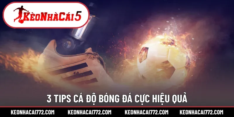3 tips cá độ bóng đá cực hiệu quả