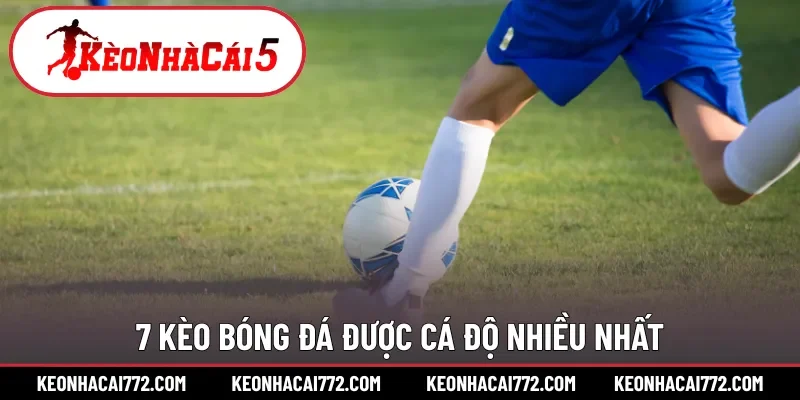 Người chơi cần dự đoán kèo bóng đá cẩn thận