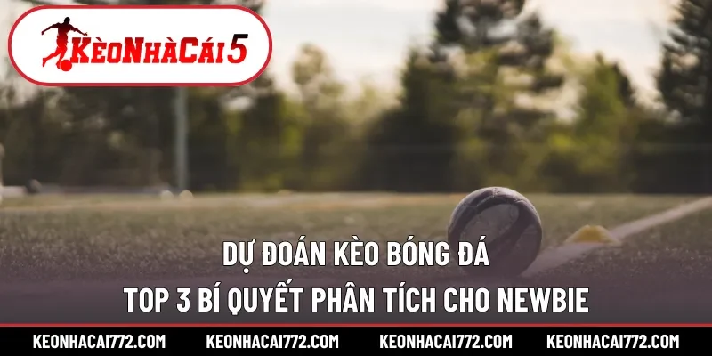 Dự đoán kèo bóng đá