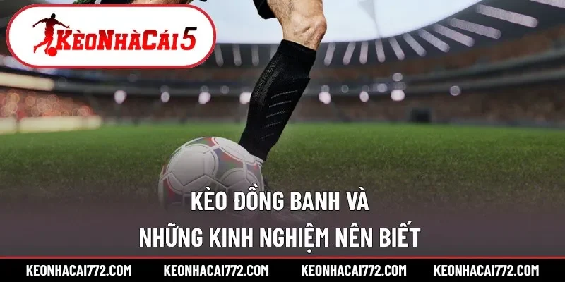 Loạt kiến thức thực tế do cao nhân đúc kết cho tân binh 