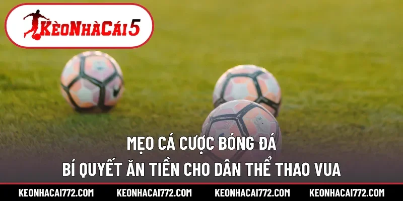 mẹo cá cược bóng đá