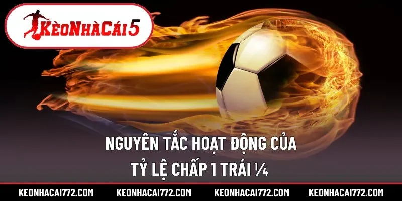 Thời điểm xuất hiện và cách chơi tỷ lệ 1/4