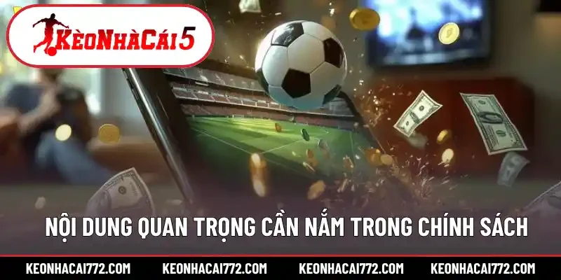 Phần nội dung quan trọng cần nắm trong chính sách
