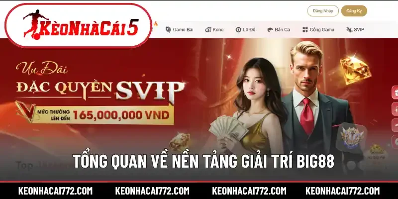 Tổng quan về nền tảng giải trí Big88
