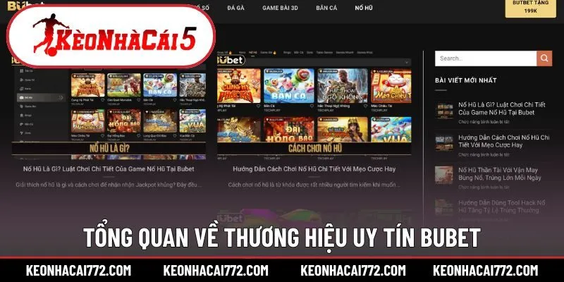 Tổng quan về thương hiệu uy tín Bubet