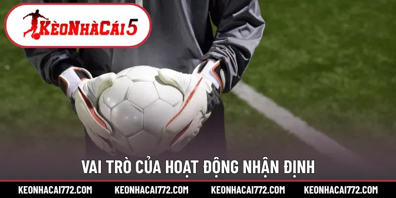 Vai trò của hoạt động nhận định