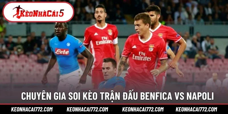 Chuyên gia soi kèo trận đấu Benfica vs Napoli