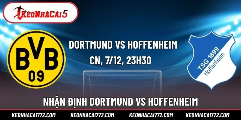 Dortmund vs Hoffenheim