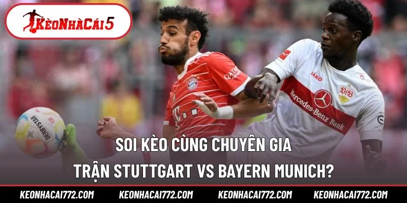 Soi kèo cùng chuyên gia trận Stuttgart vs Bayern Munich?